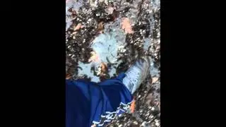 Nike AM 90 and Australian&lrm; in mud, part 1