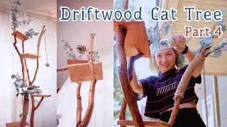 Making Driftwood Cat Tree for Kitten // Part 4- Assemble & Decorate / Instructional ASMR Music Video