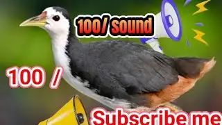 Pulla Kodi sounds👍 good 100/ subscribe me my canals