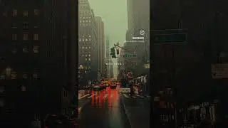 #elonmusk #love #trumpmusic #trump #trumpparody #tour #travel #trumpsong #nature #vlog #rajabfamily