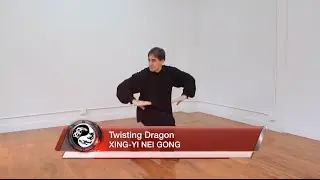 Tom Bisio performs Li Guo Rui's Twisting Dragon Exercise