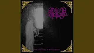 Echoes of Desperation and Hate