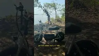 RIP Caroma D3