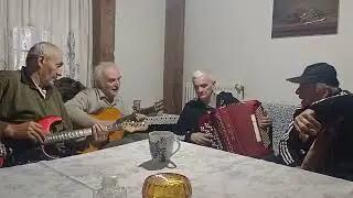 Divlje ruže