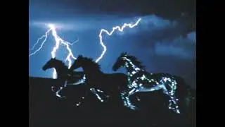 new moon eclipse in aquarius + lunar new year: fire horse 🔥 🐎
