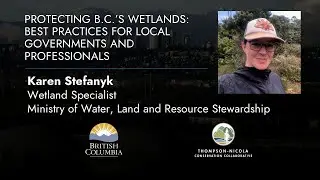 Protecting B.C.&rsquo;s Wetlands: Best Practices for Local Governments and Professionals, March 18, 2025