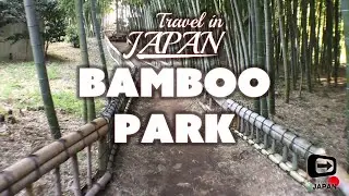 Travel in Japan | Tokyo Higashikurume | Bomboo Park