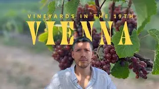 Living in Vienna Austria | Vineyards, wineries, pop-up event, Bahn Mi dinner