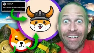 FLOKI INU REVIEW - IS $FLOKI THE NEXT SHIBA INU OR DOGECOIN????