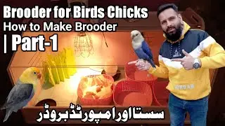 How to make Birds brooder | Imported Brooder price in PK | How to assemble imported incubator Part 1