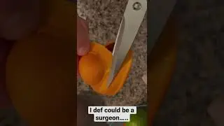 DISGUSTING! Mold in Bath Toy. Let&rsquo;s CUT!