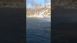 steelhead trout fishing under the water falls Black river