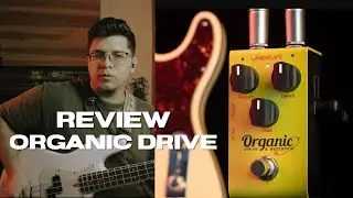 Novo Organic Drive & Booster Odb3 ​⁠​⁠@LandscapeAudio  | melhor Drive custo benef&iacute;cio do mercado ?