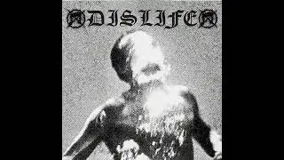 DISLIFE - One Minute Of Destruction 