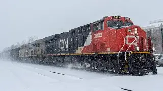 CN Empty Grain North through Hammond, LA