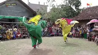 T-rex Burok Maha Dewa Brondong Voc.Entin Efendi Bcc | Dkh.Jati