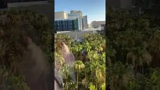 Flamingo Room | 2 Queens | High Roller View - Flamingo Hotel Las Vegas