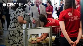 Nova Scotia sheep farmer recalls meeting Charles before he was King