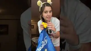 bringing my dog to Disney World!