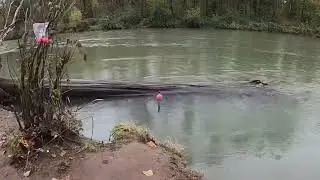 Winter Chum Salmon Fishing In Washington State