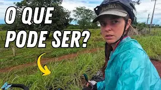 Encontramos 3 MORTAS ao LADO DA ESTRADA | Nobres/MT - ep53