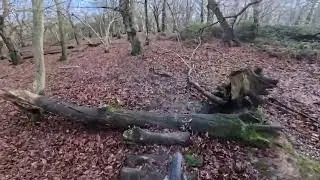 Poles wood trials day 18/01/26 part 3