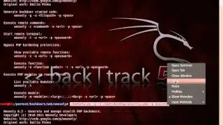 BackConnect in BackTrack 5 [ Tutorial ] No Port !