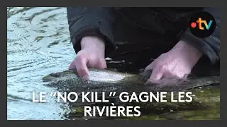 Pêche : le 