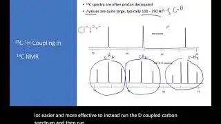 Multinuclear NMR Spin of 1:2