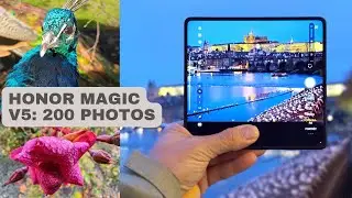 Honor Magic V5 camera test: review + 200 sample photos | 4K HDR video