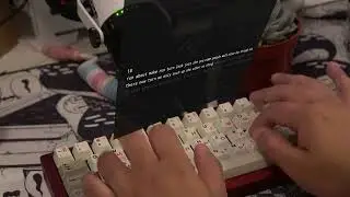 Gok Venn Soundtest - Anubis Switches on PC Plate