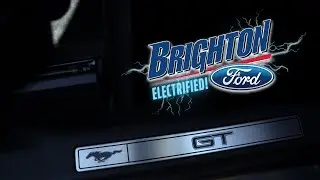 Electric Vehicles in Stock! |  Brighton Ford