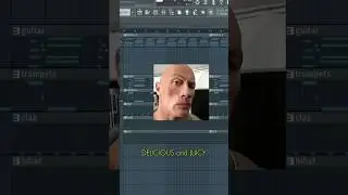 I made a LOFI beat in FL STUDIO...