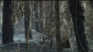 Power line sparks Golden Gate brush fire