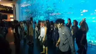 Flash Mob In Dubai Mall on Halloween