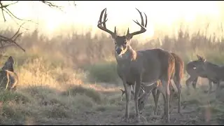 Deer Hunting with Kids is the Best Family Fun Outdoors