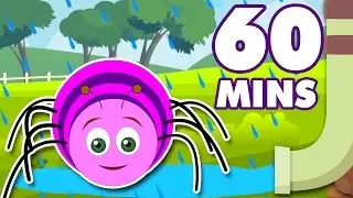 Itsy Bitsy Spider | Incy Wincy Spider & Lots More Popular Nursery Rhymes Collection for Children