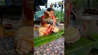 Bengali Style Masala Crabs Recipe In Kolkata #kolkatafood #shorts