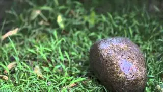 How to shoot slow motion with a DSLR