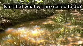 Light Reflected in the Water and Dancing on the Leaves