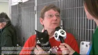 All For Animals #14:  Spring Into Action For Animals