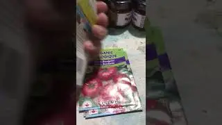 tomato seed | kamatis | pomodoro
