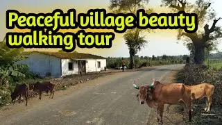 indian village walking tour || village beautiful life || #village #villagelife #villagelifestyle