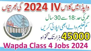 Wapda Jobs 2024 Online Apply - Wapda Job Advertisement - Security Guard Jobs in Wapda 2024