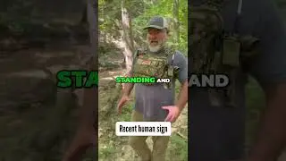 5 признаков того, что за вами кто-то наблюдает в лесу 👀🌲#шорты