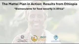 Bioinoculants for food security in Africa: the B-INOC Project