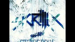 Skrillex - Bangarang (Ft. Sirah) (Cryptic Noize Drum And Bass Remix)