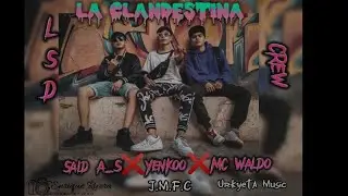 🎶La Clandestina - Yenkoo❌Said A_S❌Mc Waldo  🔥LSD CREW🔥