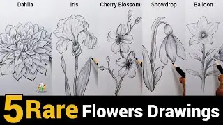 5 Beautiful Flowers Drawing | Cherry Blossom, Dahlia, Iris, Snowdrop, Balloon | Pencil Drawing