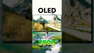 The Best BUDGET OLED Monitor.